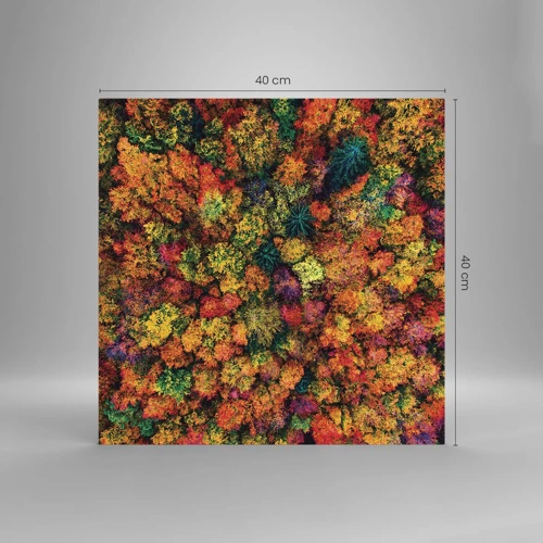 Impression sur verre - Image sur verre - Bouquet d'arbres automnal - 40x40 cm