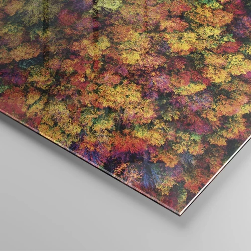 Impression sur verre - Image sur verre - Bouquet d'arbres automnal - 60x60 cm