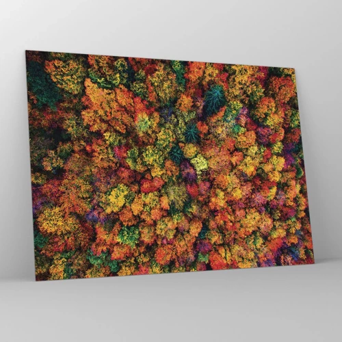 Impression sur verre - Image sur verre - Bouquet d'arbres automnal - 70x50 cm