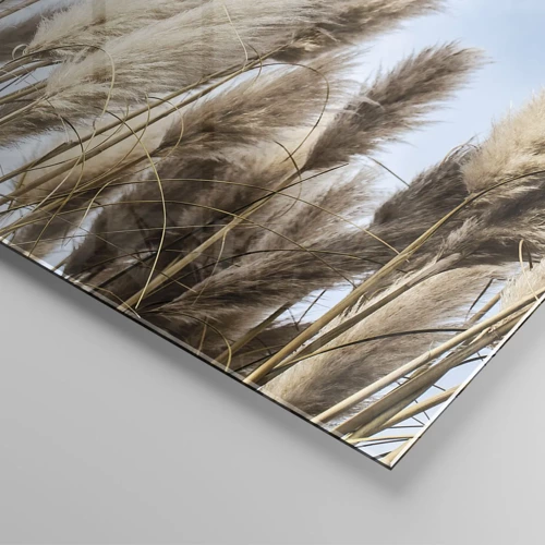 Impression sur verre - Image sur verre - Caresse ensoleillée et venteuse - 60x60 cm