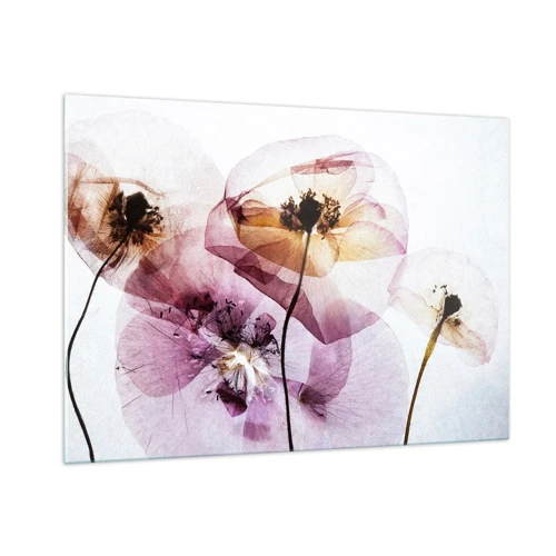 Impression sur verre - Image sur verre - Corps de fleurs transparente - 100x70 cm