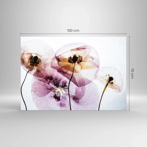 Impression sur verre - Image sur verre - Corps de fleurs transparente - 100x70 cm