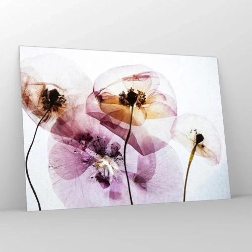 Impression sur verre - Image sur verre - Corps de fleurs transparente - 100x70 cm