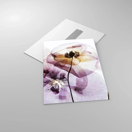 Impression sur verre - Image sur verre - Corps de fleurs transparente - 50x70 cm