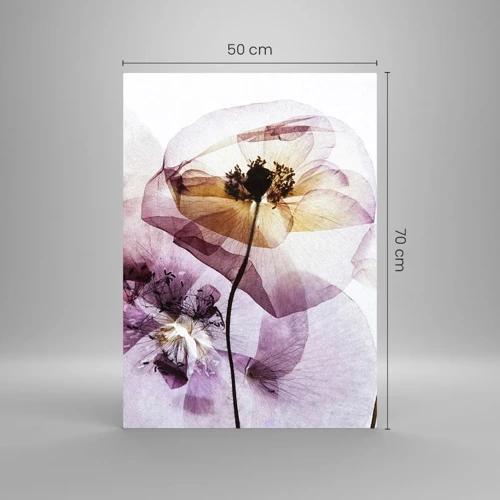 Impression sur verre - Image sur verre - Corps de fleurs transparente - 50x70 cm