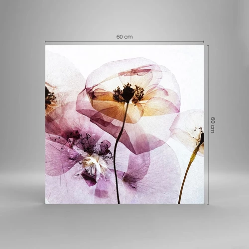 Impression sur verre - Image sur verre - Corps de fleurs transparente - 60x60 cm