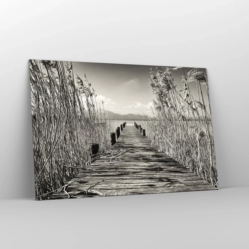 Impression sur verre - Image sur verre - Dans le calme de l'herbe - 120x80 cm