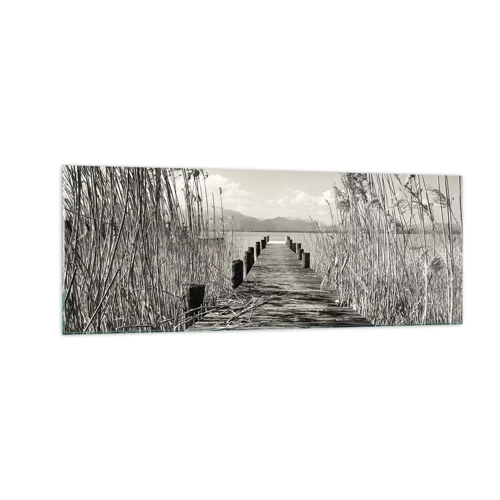 Impression sur verre - Image sur verre - Dans le calme de l'herbe - 140x50 cm