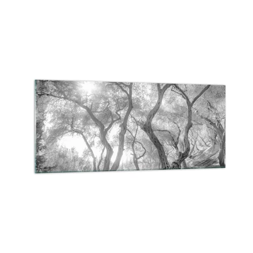 Impression sur verre - Image sur verre - Dans l'oliveraie - 120x50 cm