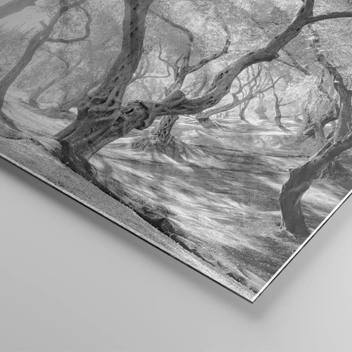 Impression sur verre - Image sur verre - Dans l'oliveraie - 120x50 cm