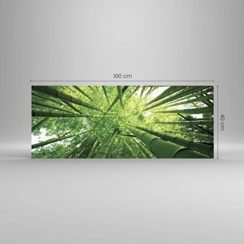 Impression sur verre - Image sur verre - Dans une bambouseraie - 100x40 cm