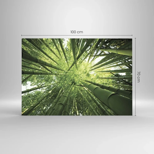 Impression sur verre - Image sur verre - Dans une bambouseraie - 100x70 cm