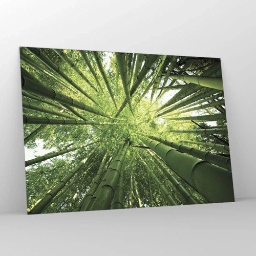 Impression sur verre - Image sur verre - Dans une bambouseraie - 100x70 cm