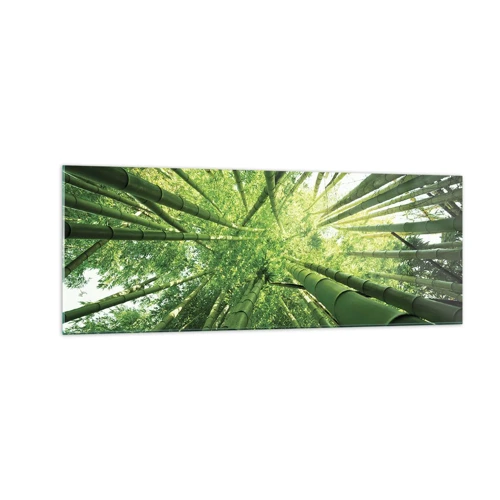 Impression sur verre - Image sur verre - Dans une bambouseraie - 140x50 cm