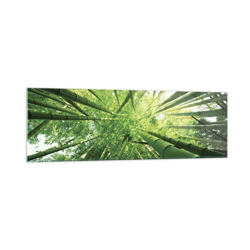 Impression sur verre - Image sur verre - Dans une bambouseraie - 160x50 cm