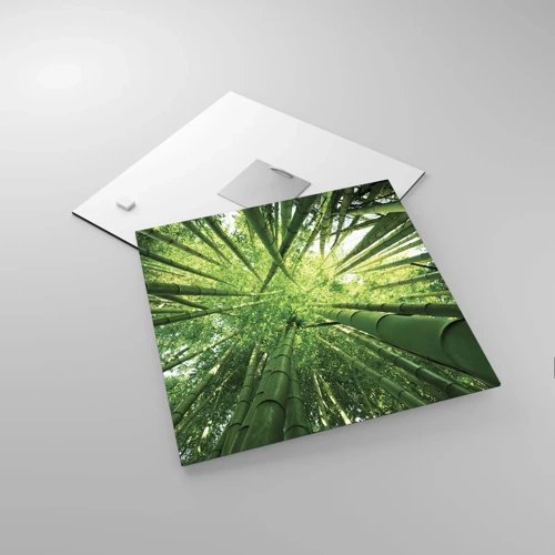Impression sur verre - Image sur verre - Dans une bambouseraie - 30x30 cm