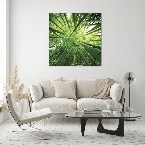 Impression sur verre - Image sur verre - Dans une bambouseraie - 50x50 cm