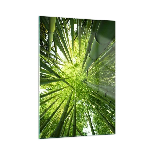 Impression sur verre - Image sur verre - Dans une bambouseraie - 50x70 cm