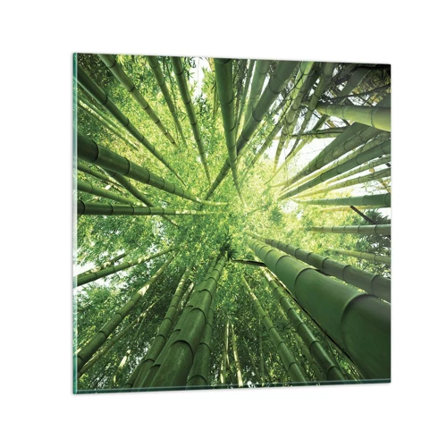 Impression sur verre - Image sur verre - Dans une bambouseraie - 60x60 cm