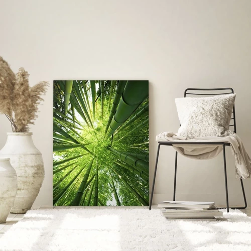Impression sur verre - Image sur verre - Dans une bambouseraie - 70x100 cm