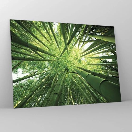 Impression sur verre - Image sur verre - Dans une bambouseraie - 70x50 cm