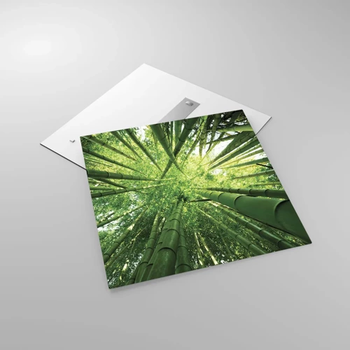 Impression sur verre - Image sur verre - Dans une bambouseraie - 70x70 cm