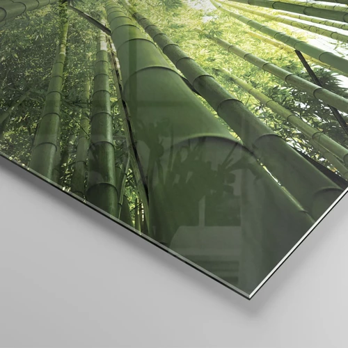 Impression sur verre - Image sur verre - Dans une bambouseraie - 70x70 cm