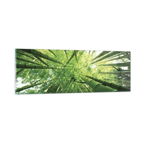 Impression sur verre - Image sur verre - Dans une bambouseraie - 90x30 cm