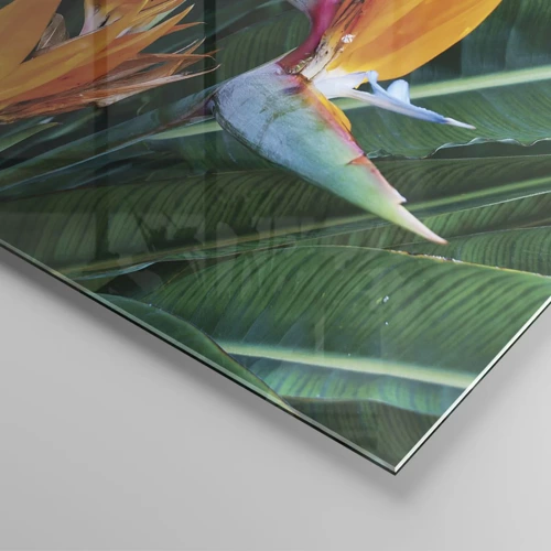 Impression sur verre - Image sur verre - Est-ce une fleur, est-ce un oiseaux? - 120x80 cm