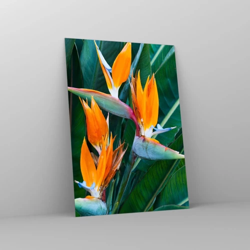 Impression sur verre - Image sur verre - Est-ce une fleur, est-ce un oiseaux? - 50x70 cm