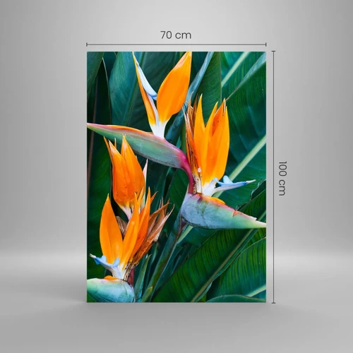 Impression sur verre - Image sur verre - Est-ce une fleur, est-ce un oiseaux? - 70x100 cm