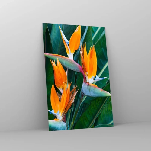 Impression sur verre - Image sur verre - Est-ce une fleur, est-ce un oiseaux? - 80x120 cm