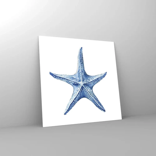 Impression sur verre - Image sur verre - Étoile de mer - 60x60 cm