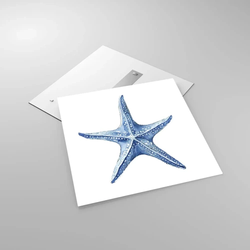 Impression sur verre - Image sur verre - Étoile de mer - 70x70 cm