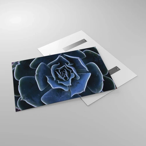 Impression sur verre - Image sur verre - Fleur du désert - 120x80 cm