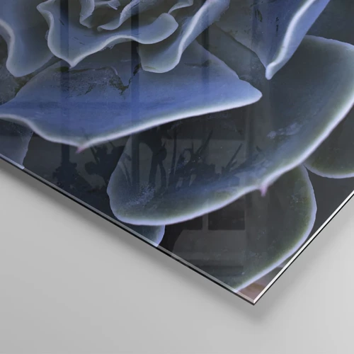 Impression sur verre - Image sur verre - Fleur du désert - 50x50 cm