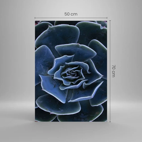 Impression sur verre - Image sur verre - Fleur du désert - 50x70 cm