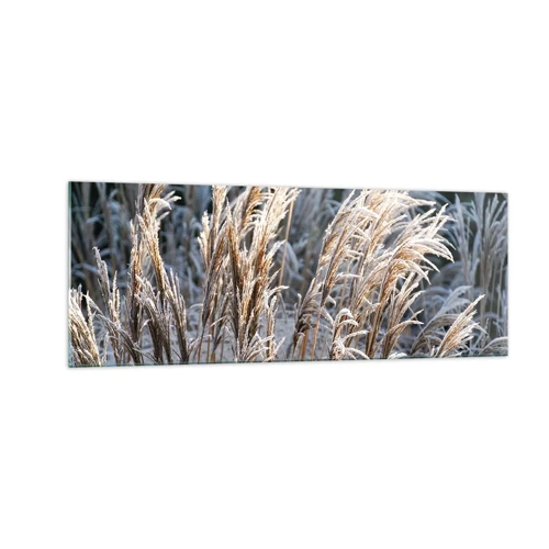 Impression sur verre - Image sur verre - Habillé de givre - 140x50 cm