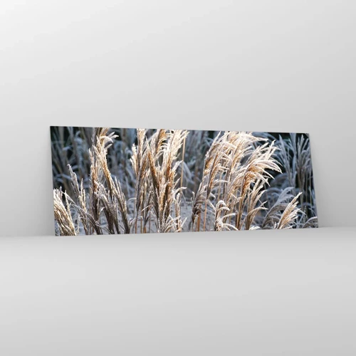 Impression sur verre - Image sur verre - Habillé de givre - 140x50 cm