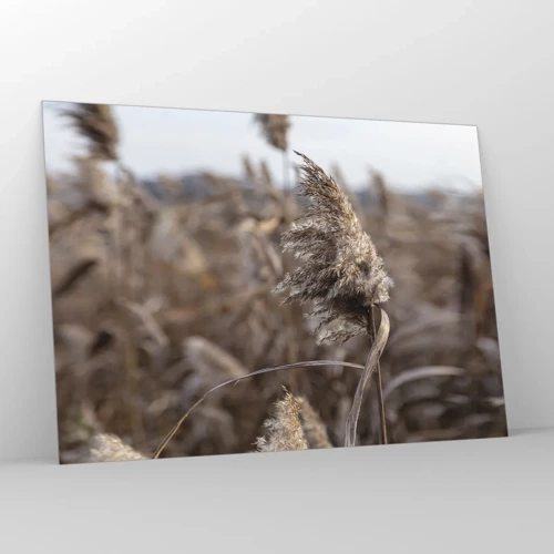 Impression sur verre - Image sur verre - Il est temps de s'envoler avec le vent - 100x70 cm