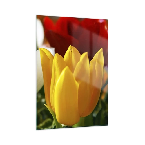 Impression sur verre - Image sur verre - La fièvre des tulipes - 50x70 cm