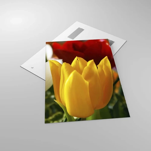Impression sur verre - Image sur verre - La fièvre des tulipes - 70x100 cm