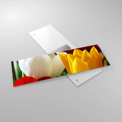 Impression sur verre - Image sur verre - La fièvre des tulipes - 90x30 cm