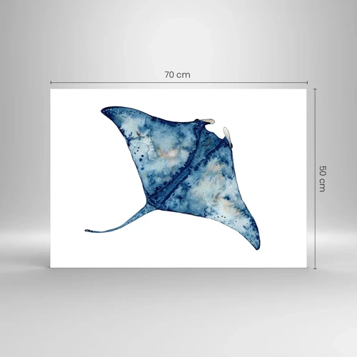 Impression sur verre - Image sur verre - La vie en bleu - 70x50 cm