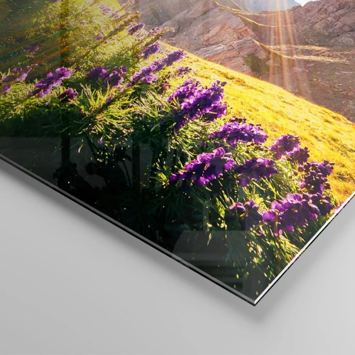 Impression sur verre - Image sur verre - La vie secrète des herbes - 50x50 cm