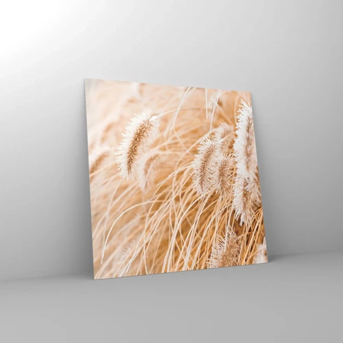 Impression sur verre - Image sur verre - Le bruissement doré de l'herbe - 50x50 cm