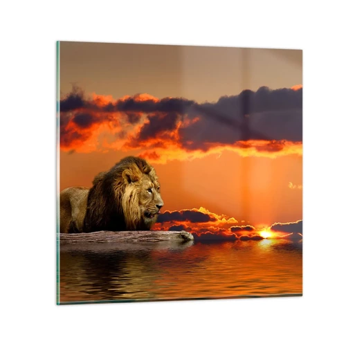 Impression sur verre - Image sur verre - Le roi de la nature - 30x30 cm