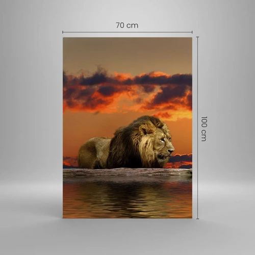 Impression sur verre - Image sur verre - Le roi de la nature - 70x100 cm