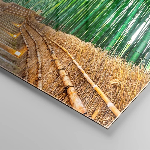 Impression sur verre - Image sur verre - L'essence de la nature asiatique - 100x40 cm