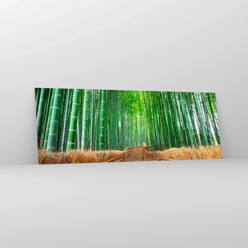 Impression sur verre - Image sur verre - L'essence de la nature asiatique - 140x50 cm